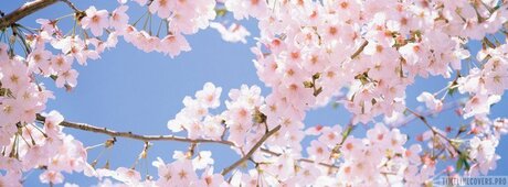 Thatoneguy onlyfans naked pics