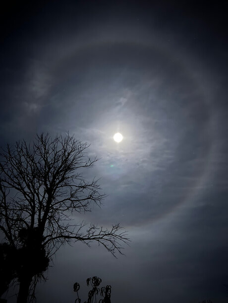 Azarajade666 onlyfans leaked porn