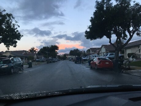 Megan Gardner only fans content