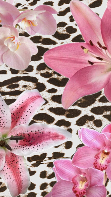 s amp lt3 onlyfans leakes