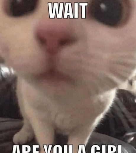 cutiekatw onlyfans model photos