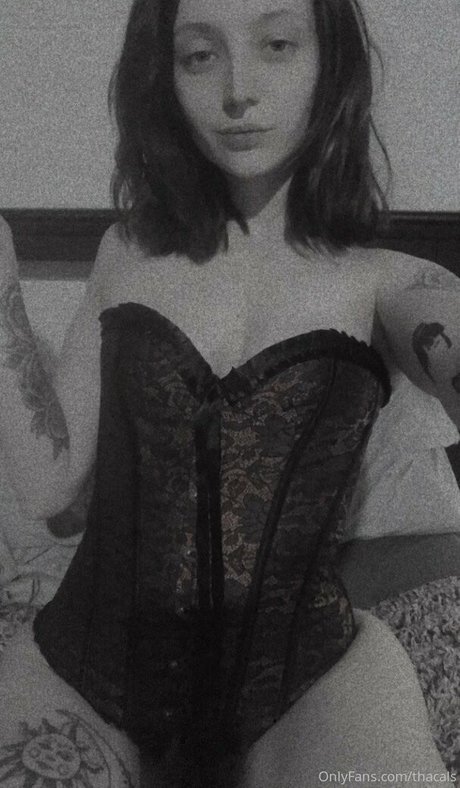 thacals nudes onlyfans leaks