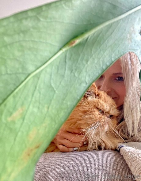 more than palnts leaked only fans