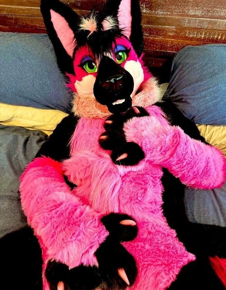 anejo xxx kaii is on onlyfans