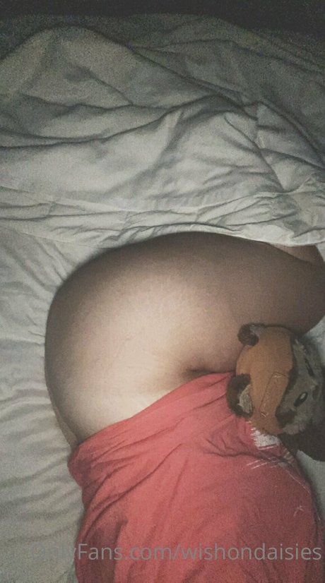 wishondaisies onlyfans creator
