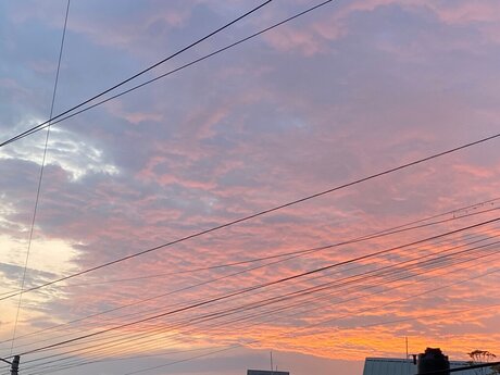 Cutie Foxy leak onlyfans nude