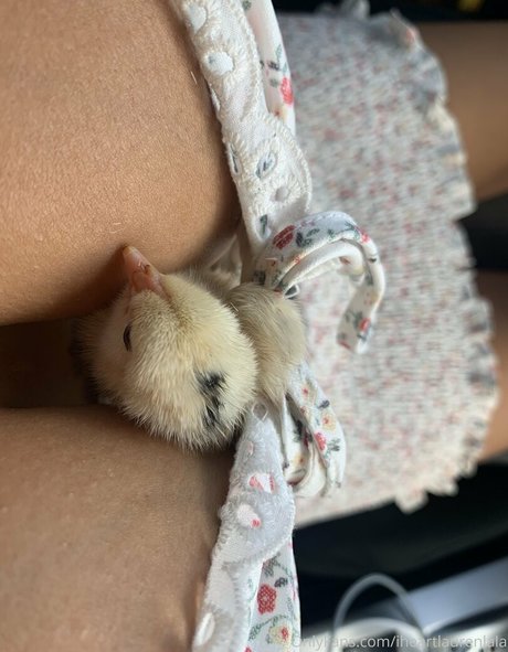 iheartlaurenlala pics onlyfans