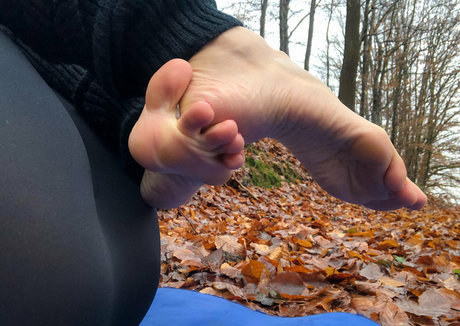 sofiaforfeet onlyfans leaks free