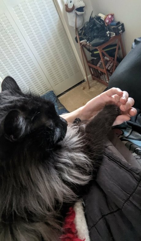 bunnyyojimbo only fans content