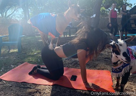 czechm8 onlyfans creator