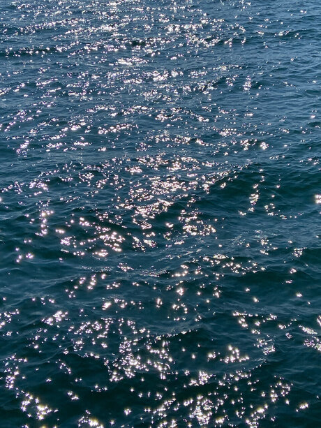 Iggyc nude onlyfans leaks