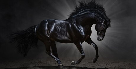 Beau Bliss onlyfans nsfw