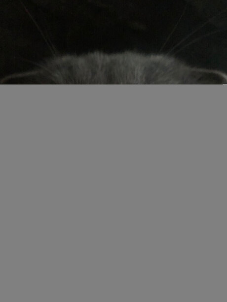 Chivas onlyfans sexy