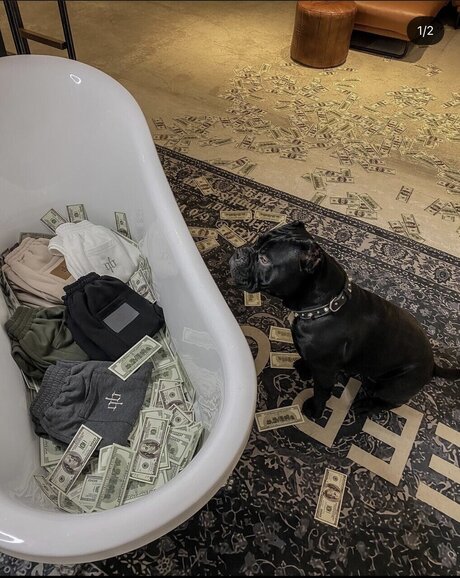 Antonyoxxx onlyfans sex