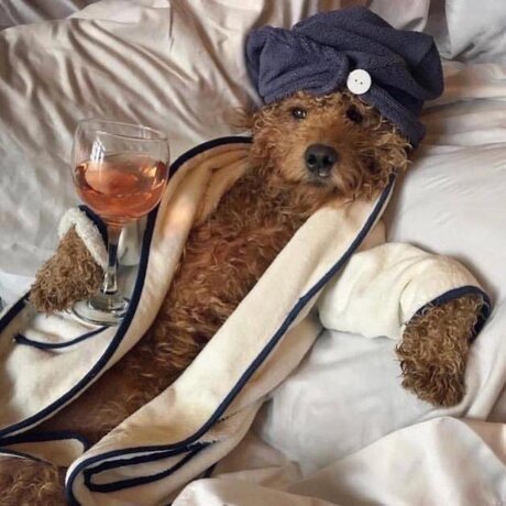 Thick Guy onlyfans leaks.