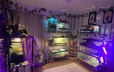 Dannicka onlyfans pictures