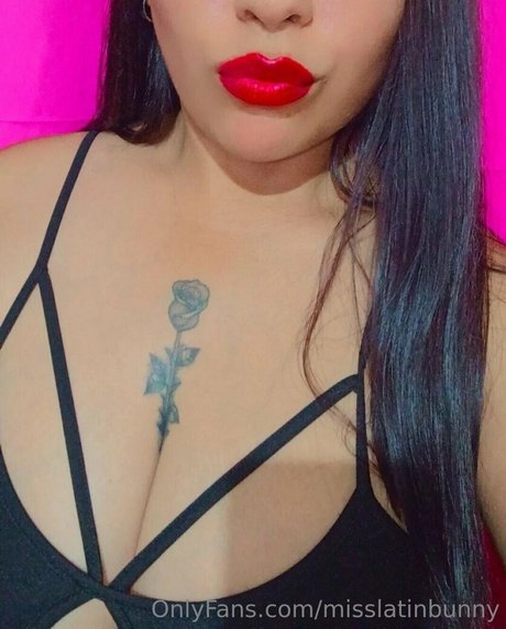 misslatinbunny onlyfans leaked nude