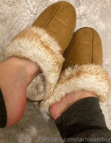 lachleamber onlyfans picture