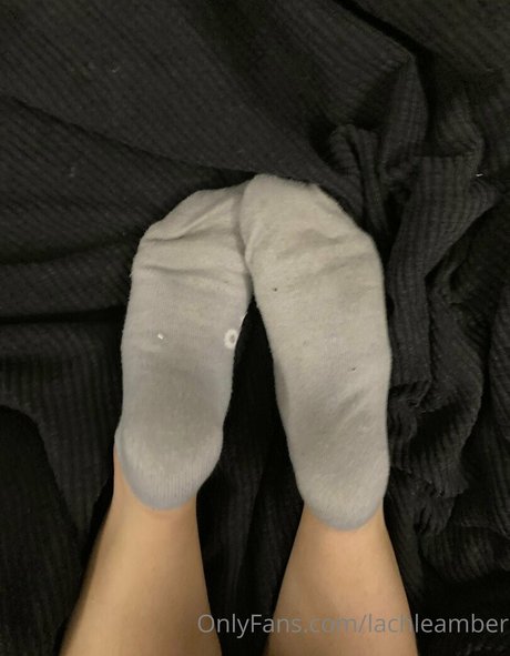 lachleamber Profile pic