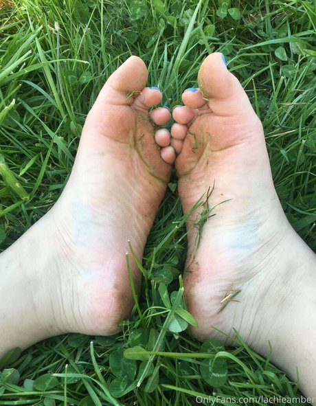 lachleamber porn only fans