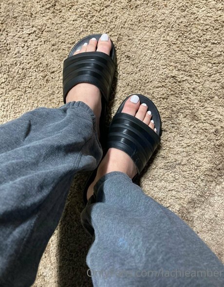 lachleamber new onlyfans