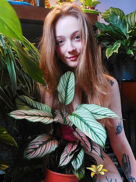 sleepyvegan leaked onlyfans photos