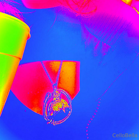 cellobella7 nude onlyfans porn