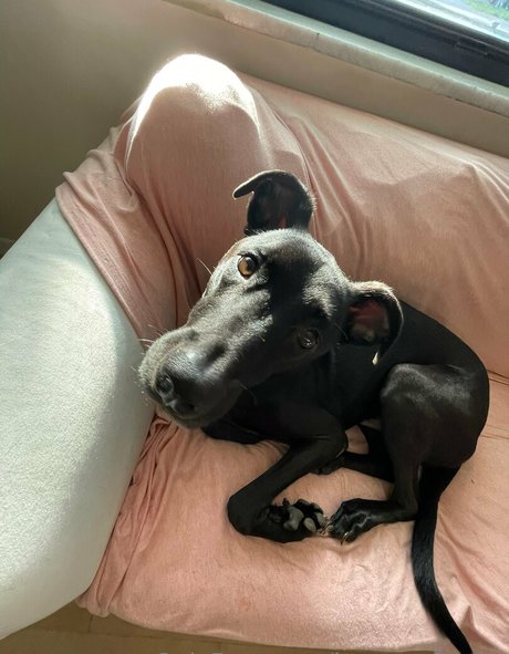 brycesgfkatya onlyfans leaked