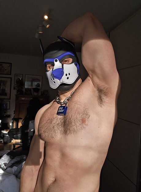 pupbuday onlyfans exposed