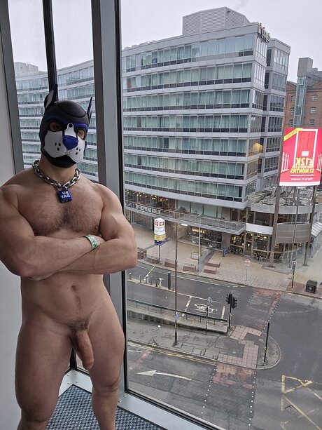 pupbuday onlyfans images