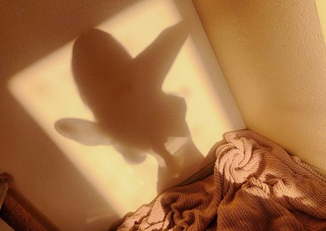 Rachel Blossom onlyfans leake