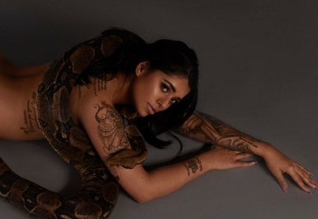 Mikayla Dabash onlyfans nide