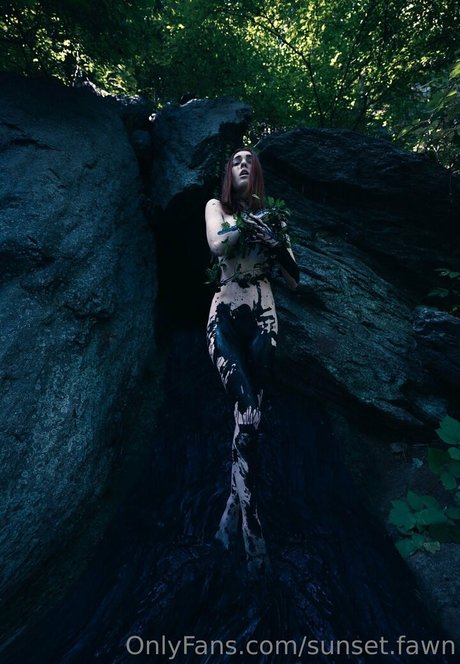 sunset fawn leaks only fans