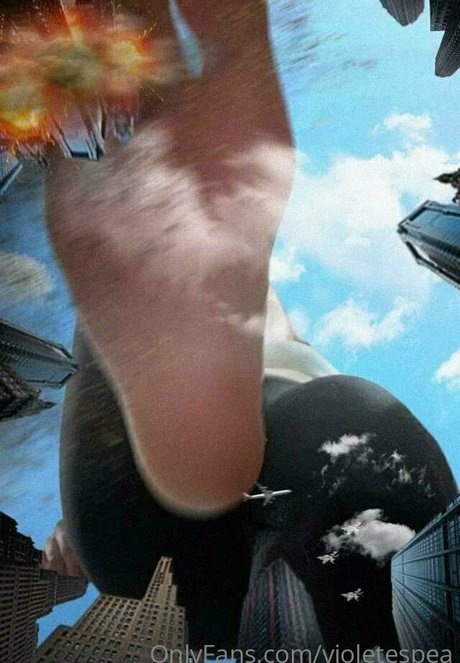 violetespea only fans