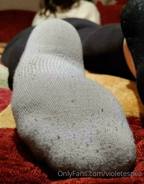 violetespea Profile pic