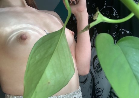 maplemaya onlyfans desnuda