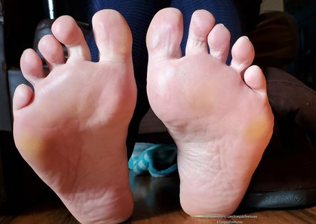 toepazfeetures onlyfans leaks xxx