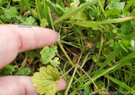 toepazfeetures sextape onlyfans