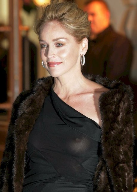 Sharon Stone nude onlyfans leaks