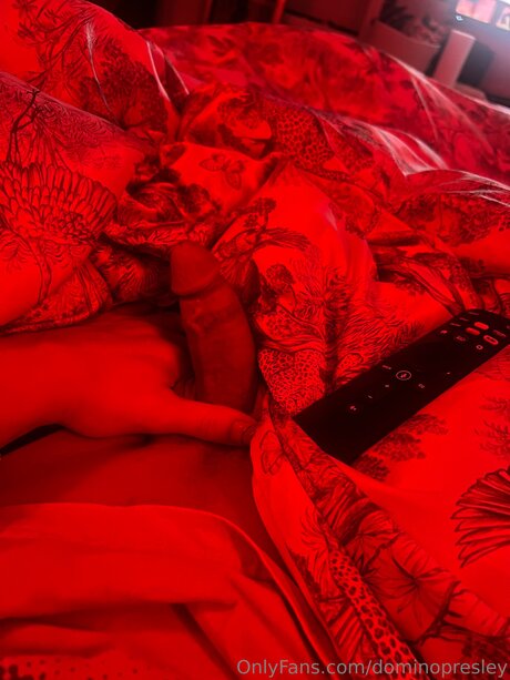 dominopresley onlyfans leak nudes