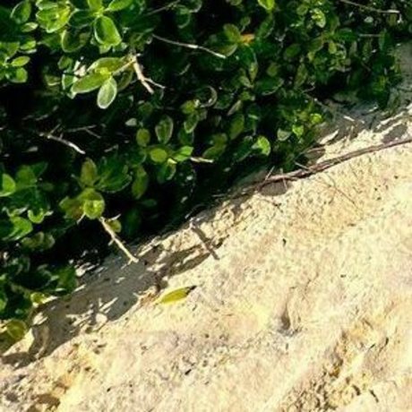 Jojo Siwa onlyfans post