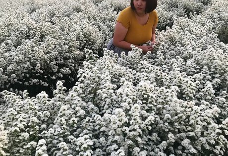 Phiromya Pangyouk nude onlyfans porn