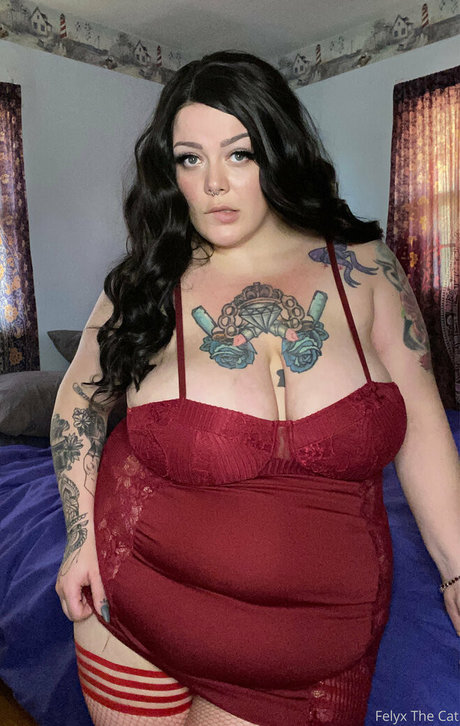 felyxthecat onlyfans model photo