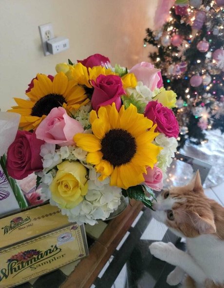 kyliecupcake porn onlyfans leaks