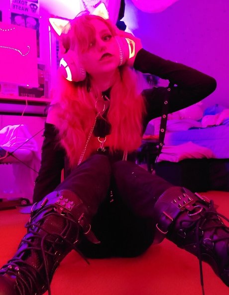 the waaa Profile pic