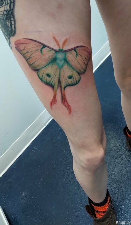 the waaa onlyfans free