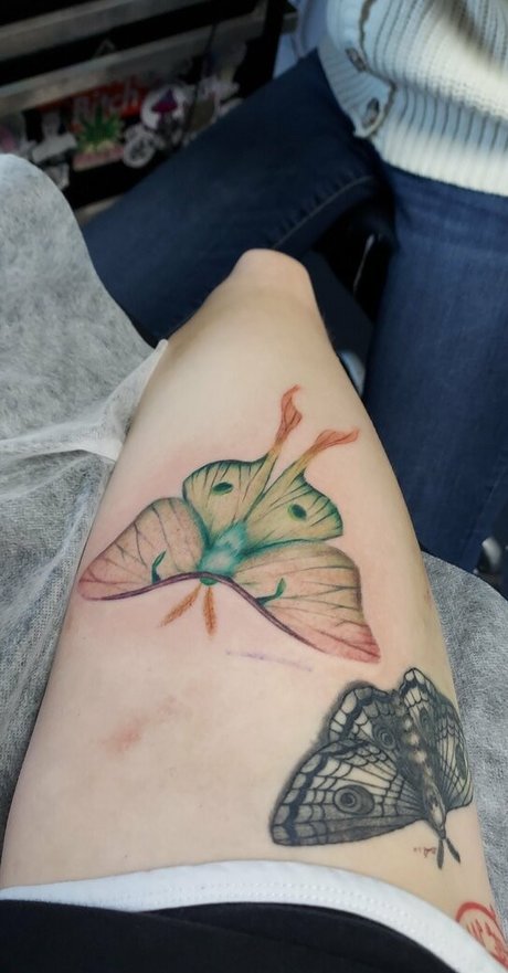 the waaa leaked onlyfans nudes