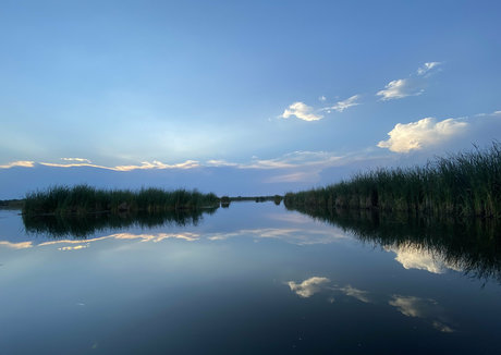 toxicannabella nsfw onlyfans