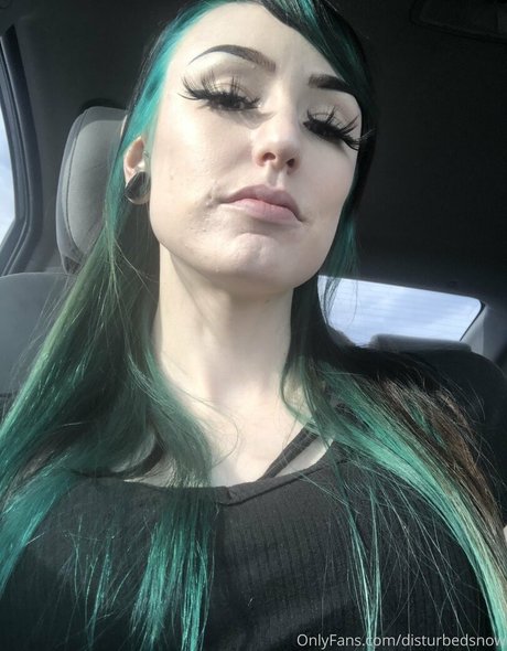 disturbedsnow Profile pic