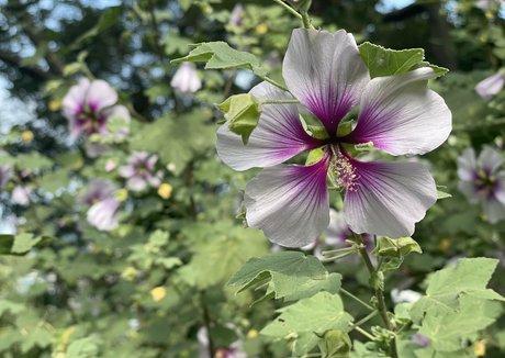 janeray naked onlyfans leak